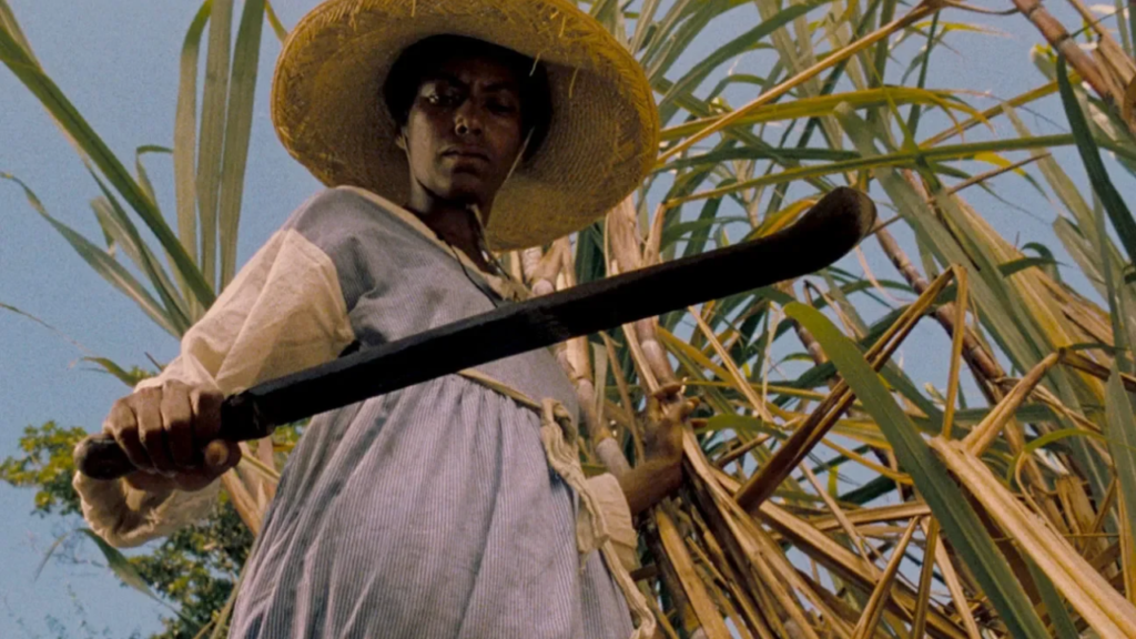 Sankofa _ Non Solo Film