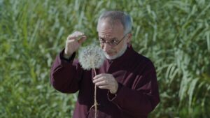Holy Wood Dust recensione NonSoloFilm.it