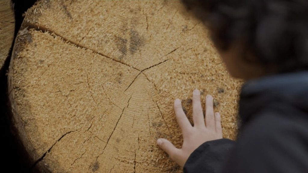 Holy Wood Dust recensione NonSoloFilm.it