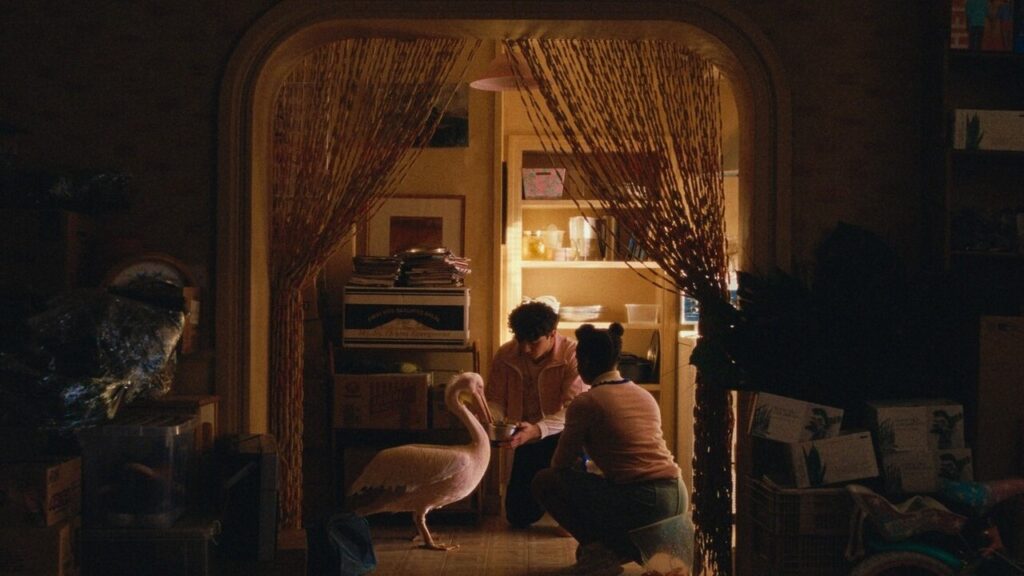 ButterflyJam recensione nonsolofilm.it